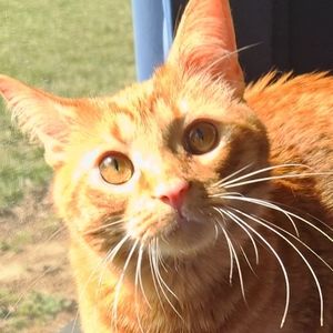 Meet your Posher, Jules